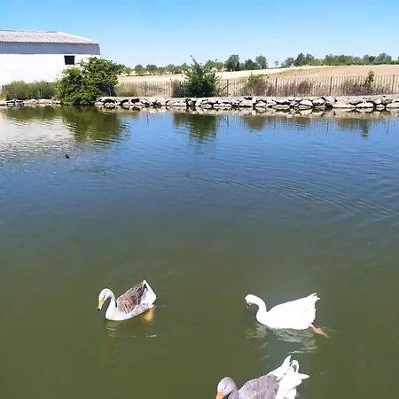 Casa Marite Vivienda De Uso Turistico بيت للعطل