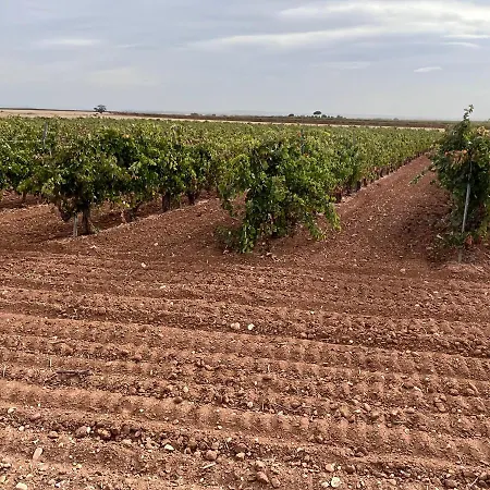 Casa Marite Vivienda De Uso Turistico بيت للعطل Campillo de Aranda